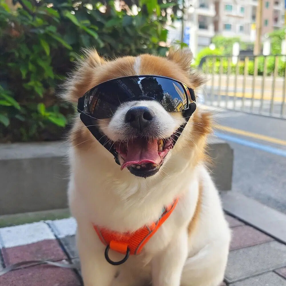 Multicolor Pet Goggles Sun Protection Sun Shading Pet Sunglasses Windproof UV Protection Dog UV Protection Glasses Dog