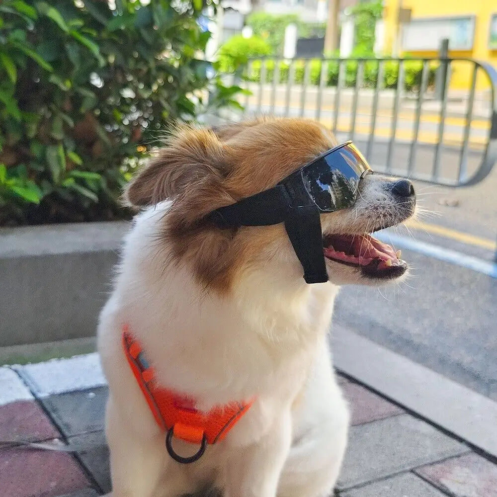 Multicolor Pet Goggles Sun Protection Sun Shading Pet Sunglasses Windproof UV Protection Dog UV Protection Glasses Dog